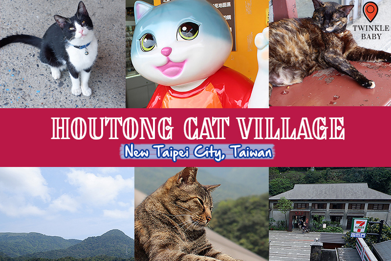พาเที่ยวหมู่บ้านแมวไต้หวัน Houtong Cat Village พร้อมวิธีการเดินทาง